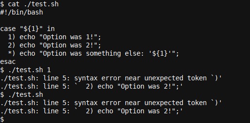 bash case syntax