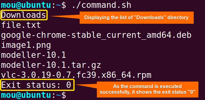 bash return status