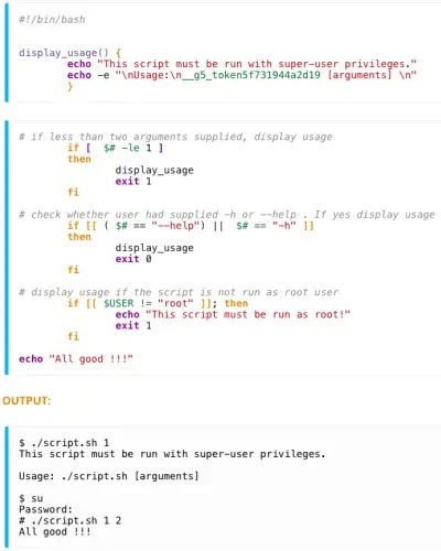 bash shell execution