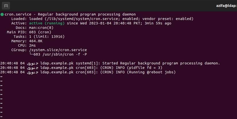 cron systemd environments