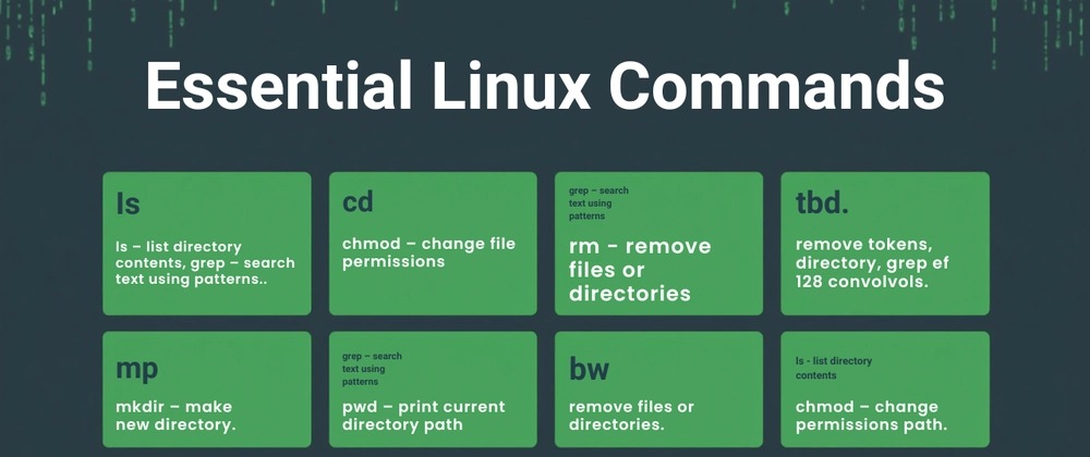 linux search directories