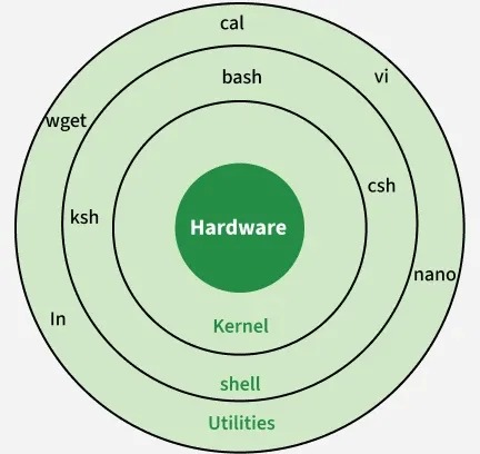 linux shell terminology