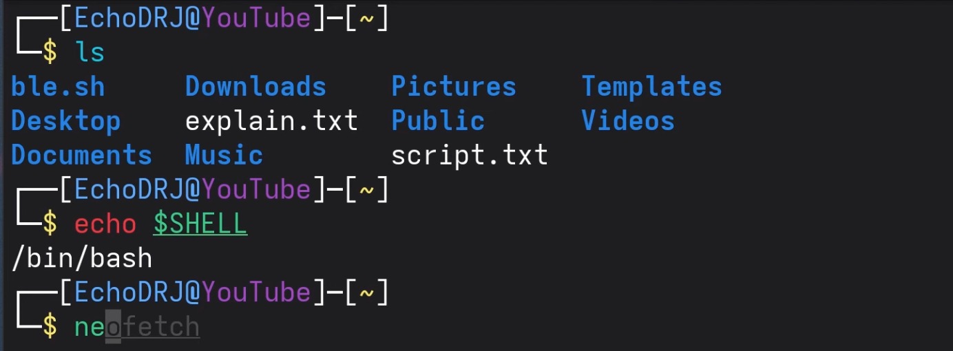 persistent Bash settings