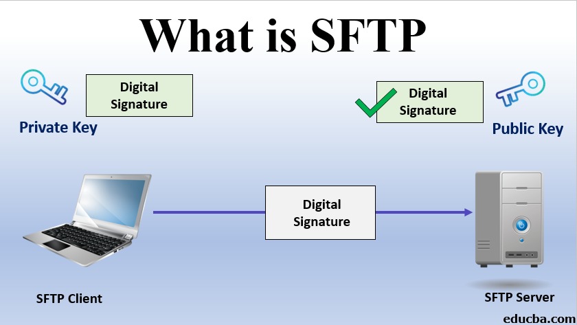sftp file transfer