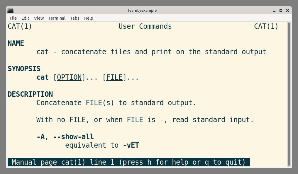 terminal command output