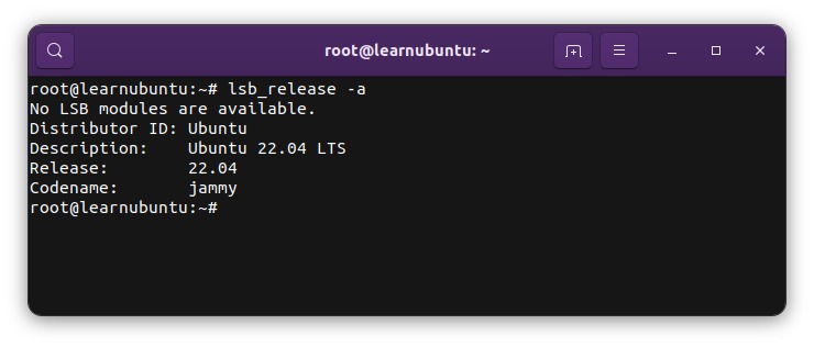 ubuntu release output
